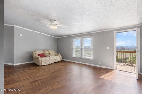 Tiny photo for 164 Green Lane, Sharps Chapel, TN 37866 (MLS # 1332726)