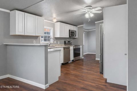 Tiny photo for 164 Green Lane, Sharps Chapel, TN 37866 (MLS # 1332726)