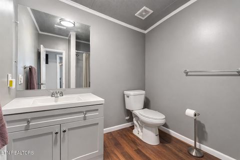 Tiny photo for 164 Green Lane, Sharps Chapel, TN 37866 (MLS # 1332726)