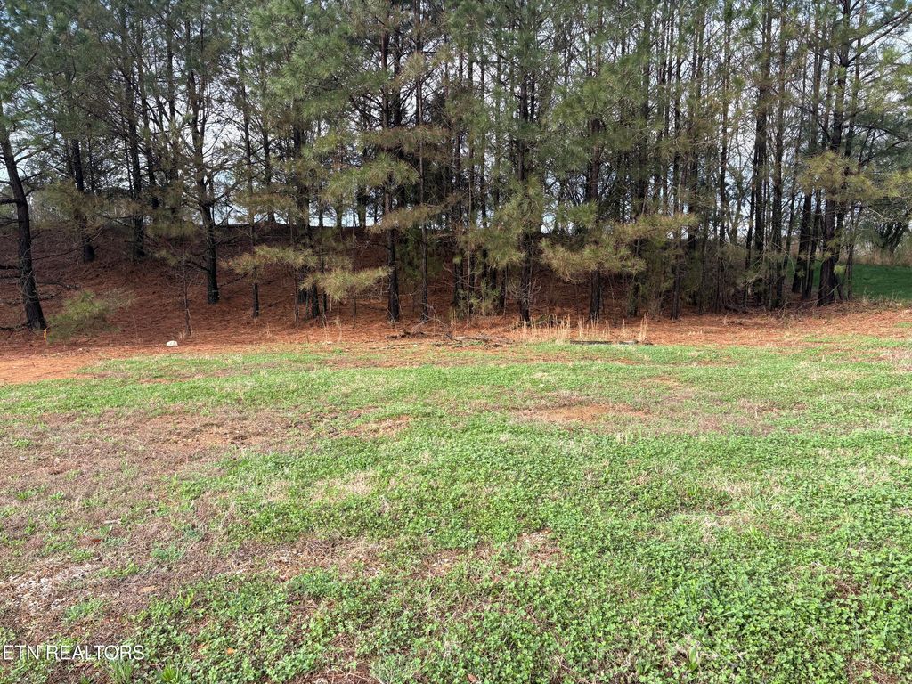 Photo of 1565 Bobcat Run Drive, Loudon, TN 37774 (MLS # 1332480)