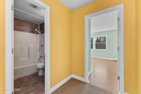 Tiny photo for 400 Cabbage Cemetery Rd, Washburn, TN 37888 (MLS # 1328295)