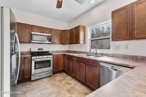 Tiny photo for 400 Cabbage Cemetery Rd, Washburn, TN 37888 (MLS # 1328295)