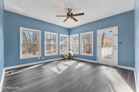 Tiny photo for 400 Cabbage Cemetery Rd, Washburn, TN 37888 (MLS # 1328295)