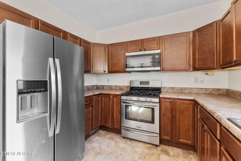 Tiny photo for 400 Cabbage Cemetery Rd, Washburn, TN 37888 (MLS # 1328295)