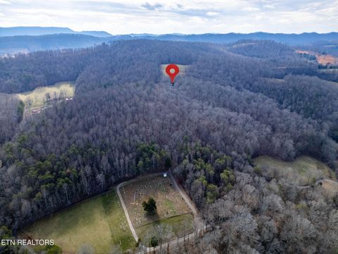 Tiny photo for 400 Cabbage Cemetery Rd, Washburn, TN 37888 (MLS # 1328295)