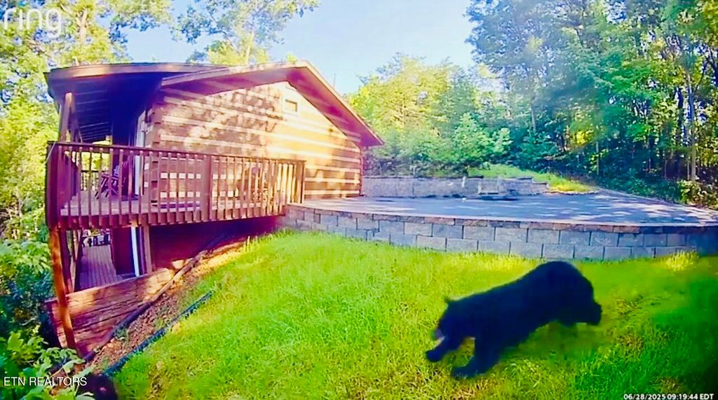 Photo of 939 Vixen Run, Gatlinburg, TN 37738 (MLS # 1329712)