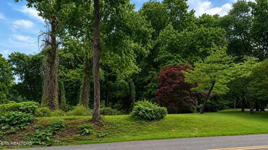 Photo of 0 Dandridge Ave, Knoxville, TN 37915 (MLS # 1342354)