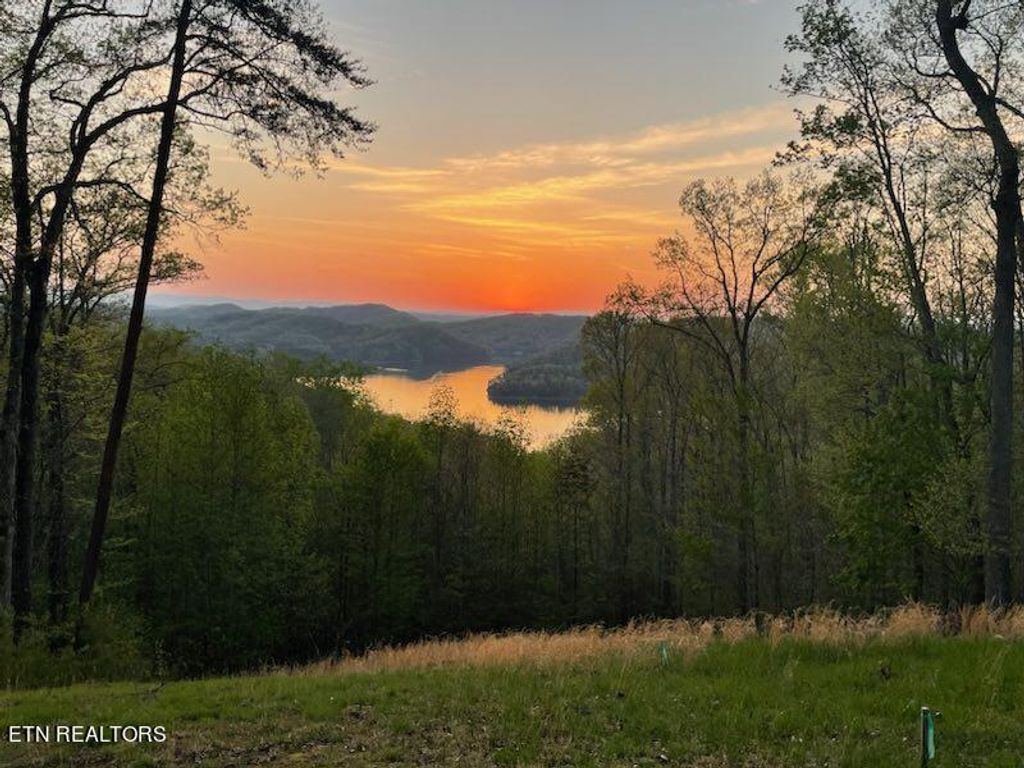 Photo of 722 Hickory Pointe Lane, Maynardville, TN 37807 (MLS # 1253484)