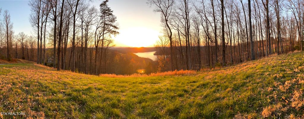 Photo of 722 Hickory Pointe Lane, Maynardville, TN 37807 (MLS # 1253484)