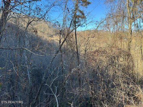 Tiny photo for n/a Balsam Slopes Rd, Sevierville, TN 37862 (MLS # 1324533)