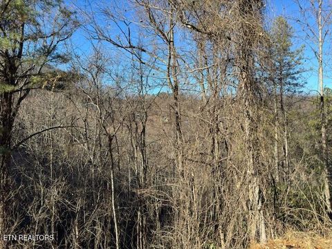 Tiny photo for n/a Balsam Slopes Rd, Sevierville, TN 37862 (MLS # 1324533)