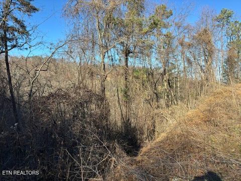 Tiny photo for n/a Balsam Slopes Rd, Sevierville, TN 37862 (MLS # 1324533)