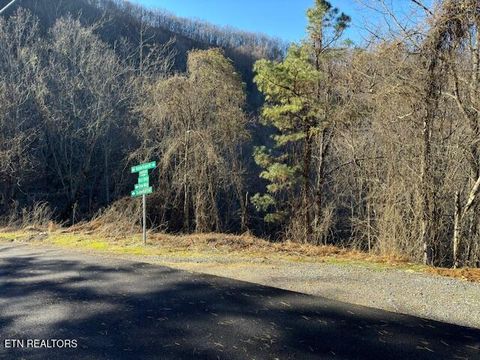 Photo of n/a Balsam Slopes Rd, Sevierville, TN 37862 (MLS # 1324533)