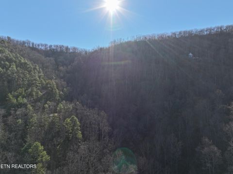 Tiny photo for n/a Balsam Slopes Rd, Sevierville, TN 37862 (MLS # 1324533)