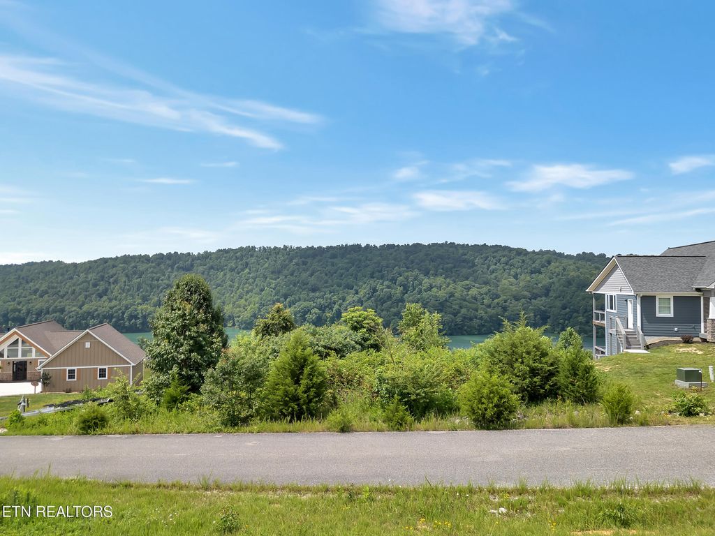 Photo of 98 Pinnacle Lane, LaFollette, TN 37766 (MLS # 1307198)