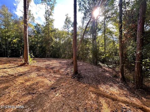 Tiny photo for 55 Pleasant Hill Rd, Ten Mile, TN 37880 (MLS # 1331895)