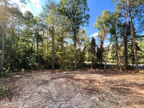 Tiny photo for 55 Pleasant Hill Rd, Ten Mile, TN 37880 (MLS # 1331895)