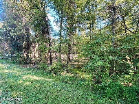 Tiny photo for 55 Pleasant Hill Rd, Ten Mile, TN 37880 (MLS # 1331895)