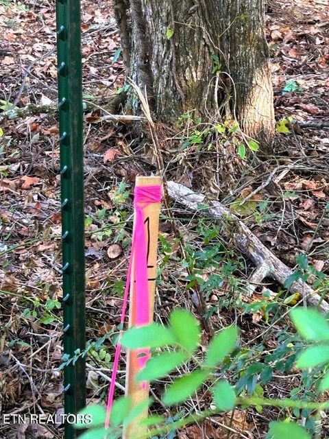 Tiny photo for 55 Pleasant Hill Rd, Ten Mile, TN 37880 (MLS # 1331895)