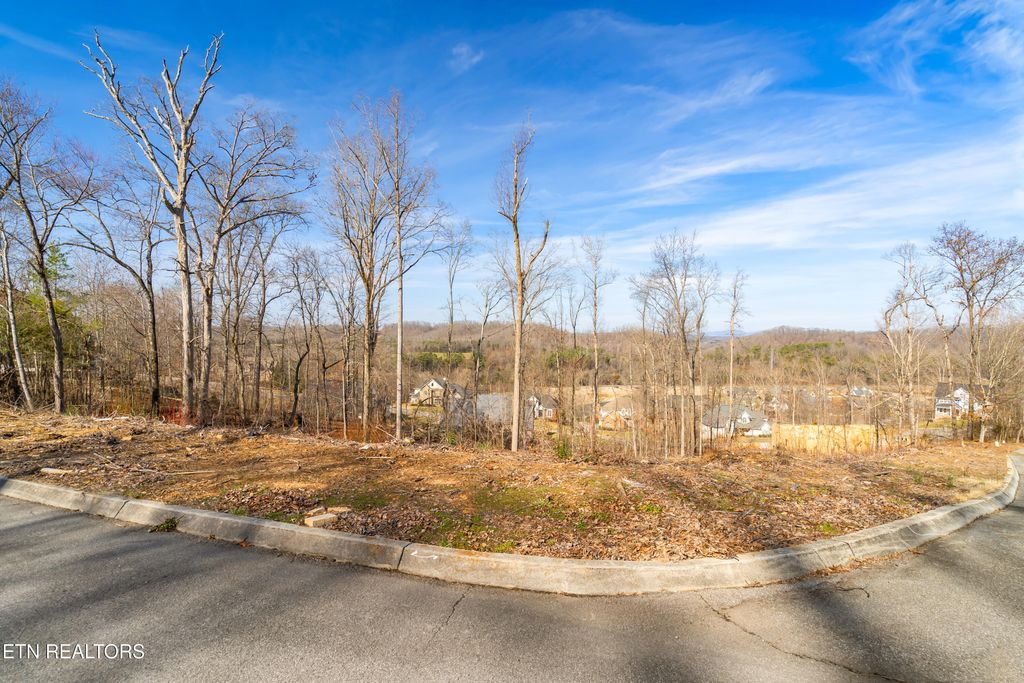 Photo of 200 Windswept Drive, Lenoir City, TN 37772 (MLS # 1308033)