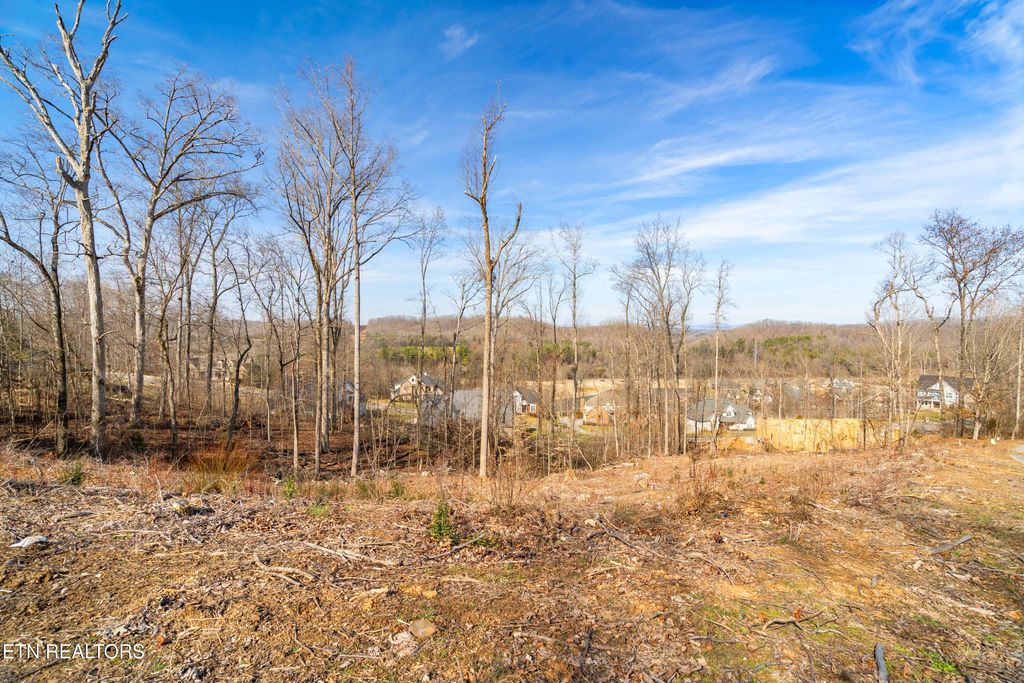 Photo of 200 Windswept Drive, Lenoir City, TN 37772 (MLS # 1308033)