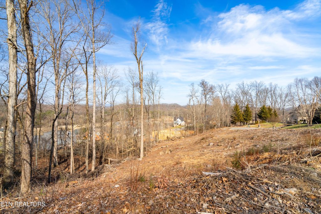 Photo of 200 Windswept Drive, Lenoir City, TN 37772 (MLS # 1308033)