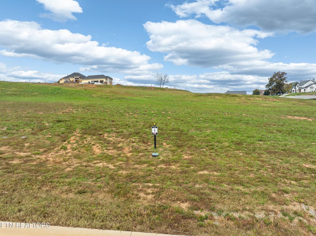 Photo of 512 Mockingbird Lane, Loudon, TN 37774 (MLS # 1320055)