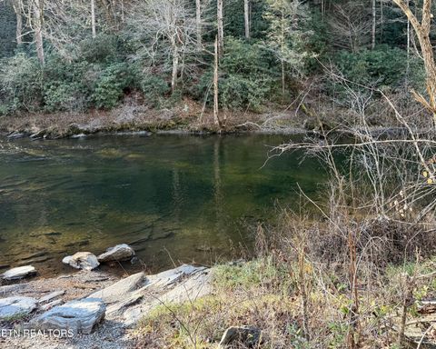 Photo of 0 River Rd, Tellico Plains, TN 37385 (MLS # 1338904)