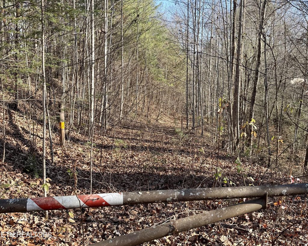 Photo of 0 River Rd, Tellico Plains, TN 37385 (MLS # 1338904)
