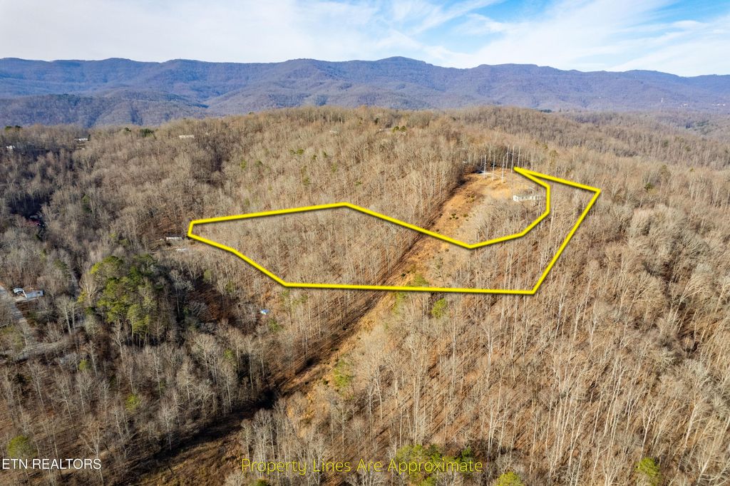 Photo of Shady Cove Rd, Caryville, TN 37714 (MLS # 1292114)