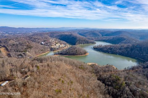 Shady Cove Rd Caryville TN 37714