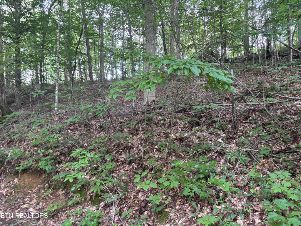 Photo of Eagle Ridge PVT Rd, Huntsville, TN 37756 (MLS # 1311645)