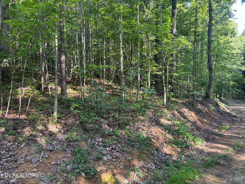 Photo of Eagle Ridge PVT Rd, Huntsville, TN 37756 (MLS # 1311645)