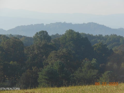 Tiny photo for 6331 Nine Mile Rd, Maryville, TN 37801 (MLS # 1359500)