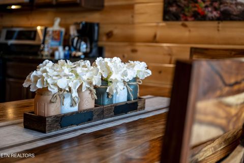 Tiny photo for 244 Forrest Loop Way, Gatlinburg, TN 37738 (MLS # 1340677)