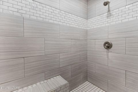 Tiny photo for 839 Hwy163, Calhoun, TN 37309 (MLS # 1334759)