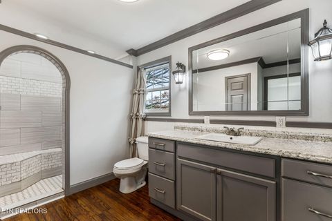 Tiny photo for 839 Hwy163, Calhoun, TN 37309 (MLS # 1334759)