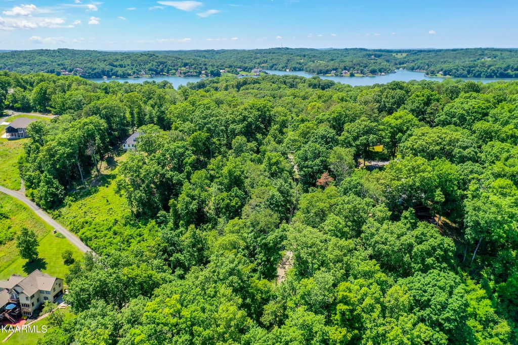 Photo of 930 Parks Ferry Rd, Friendsville, TN 37737 (MLS # 1227743)