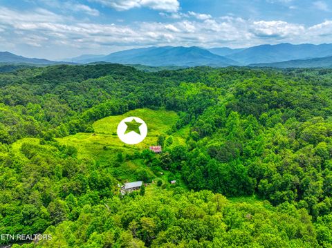 Tiny photo for Birds Creek Rd, Gatlinburg, TN 37738 (MLS # 1309663)