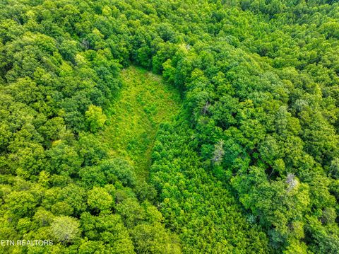 Tiny photo for Birds Creek Rd, Gatlinburg, TN 37738 (MLS # 1309663)