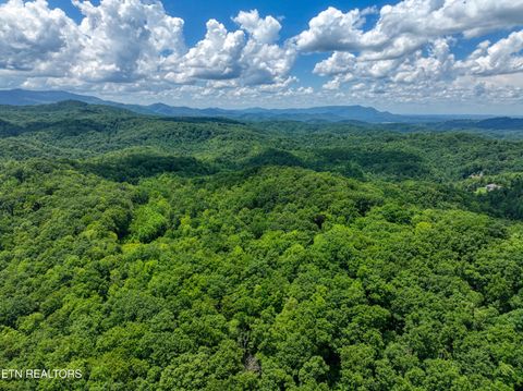 Tiny photo for Birds Creek Rd, Gatlinburg, TN 37738 (MLS # 1309663)