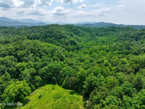 Tiny photo for Birds Creek Rd, Gatlinburg, TN 37738 (MLS # 1309663)