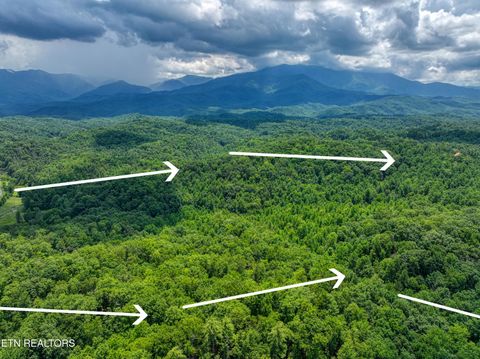 Tiny photo for Birds Creek Rd, Gatlinburg, TN 37738 (MLS # 1309663)