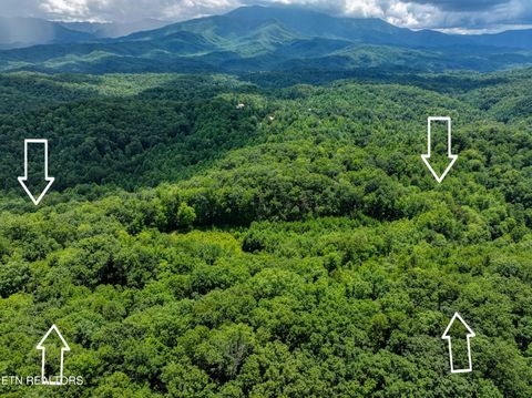 Tiny photo for Birds Creek Rd, Gatlinburg, TN 37738 (MLS # 1309663)
