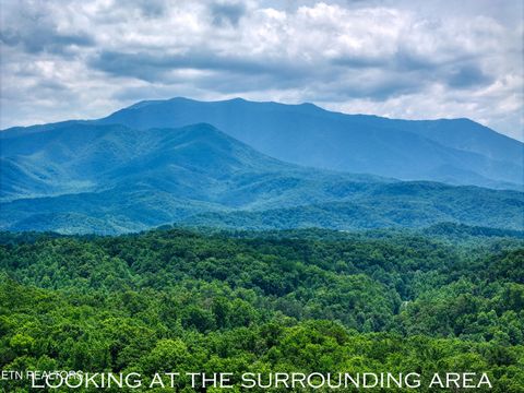 Tiny photo for Birds Creek Rd, Gatlinburg, TN 37738 (MLS # 1309663)