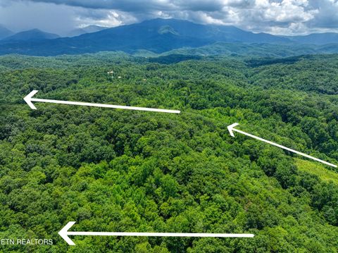 Tiny photo for Birds Creek Rd, Gatlinburg, TN 37738 (MLS # 1309663)