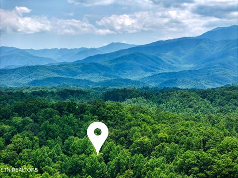 Tiny photo for Birds Creek Rd, Gatlinburg, TN 37738 (MLS # 1309663)