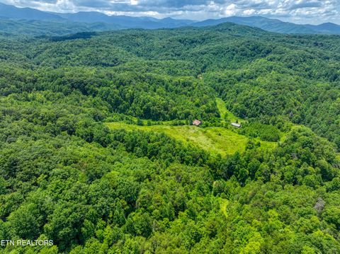 Tiny photo for Birds Creek Rd, Gatlinburg, TN 37738 (MLS # 1309663)