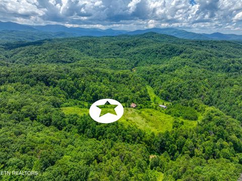 Tiny photo for Birds Creek Rd, Gatlinburg, TN 37738 (MLS # 1309663)