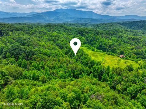 Tiny photo for Birds Creek Rd, Gatlinburg, TN 37738 (MLS # 1309663)
